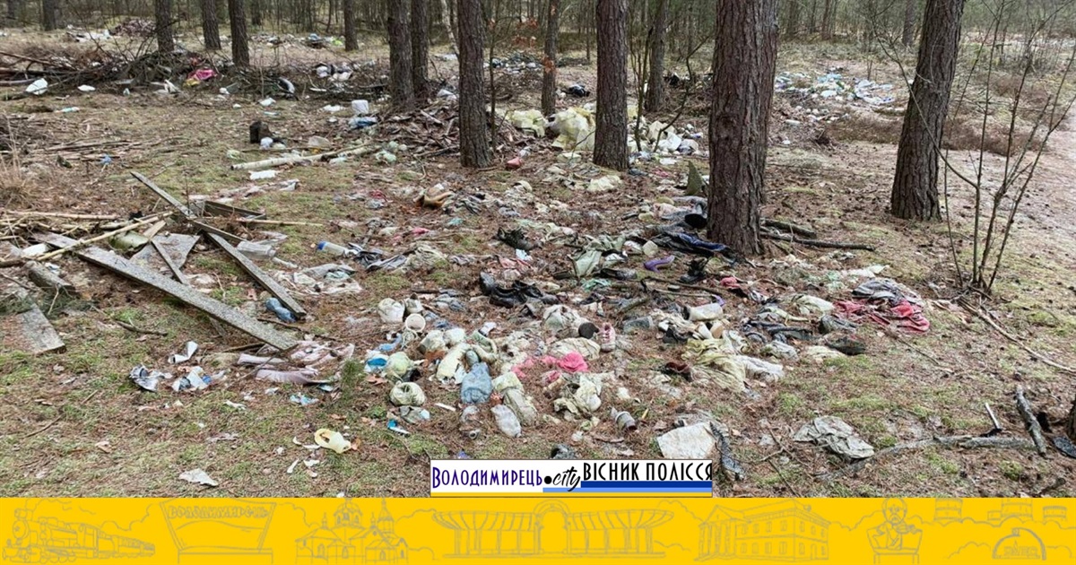 Несанкціоноване сміттєзвалище у лісі поблизу Берестівки: екологи відібрали проби ґрунту