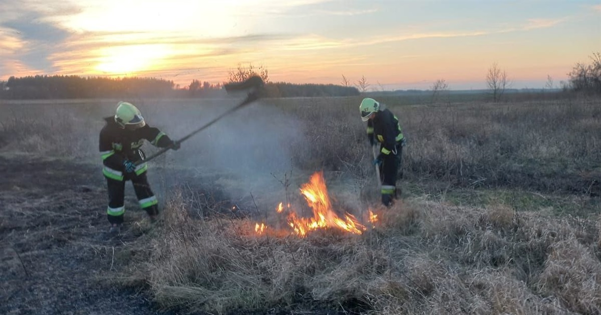 За вихідні на Переяславщині сталося вісім пожеж: горіла суха трава