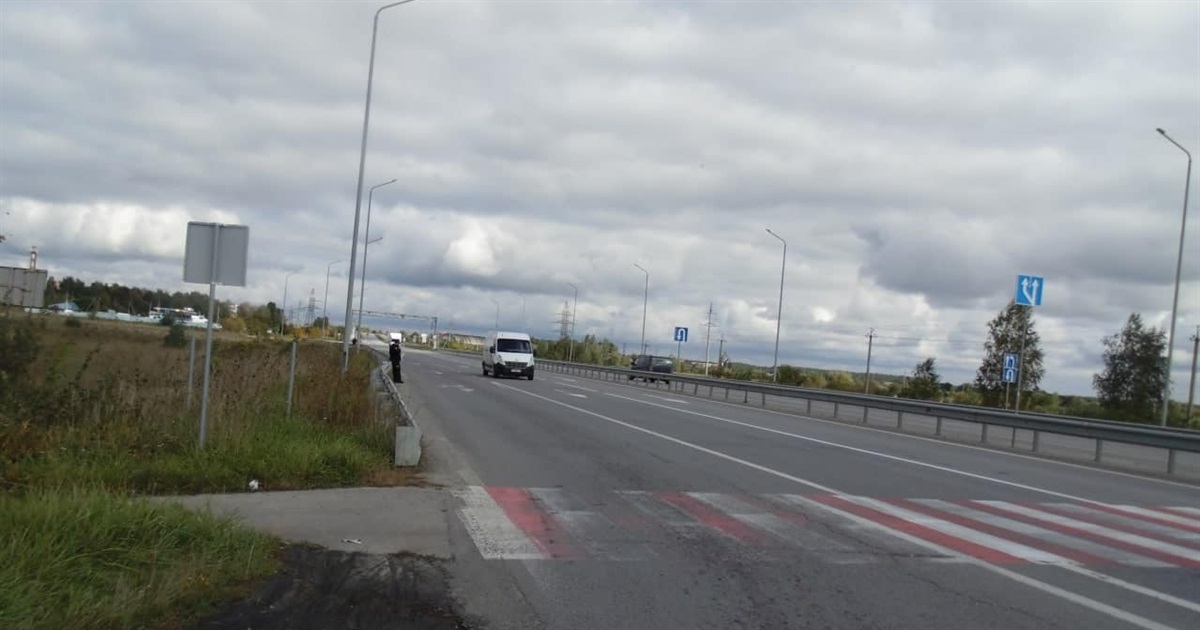 Звягельські поліцейські розшукали причетного до крадіжки кабелів з електроопор