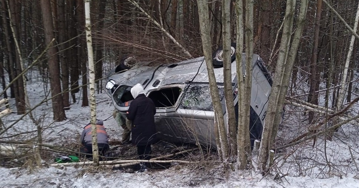 В ДТП на Звягельщині травмувалися двоє дітей та троє дорослих