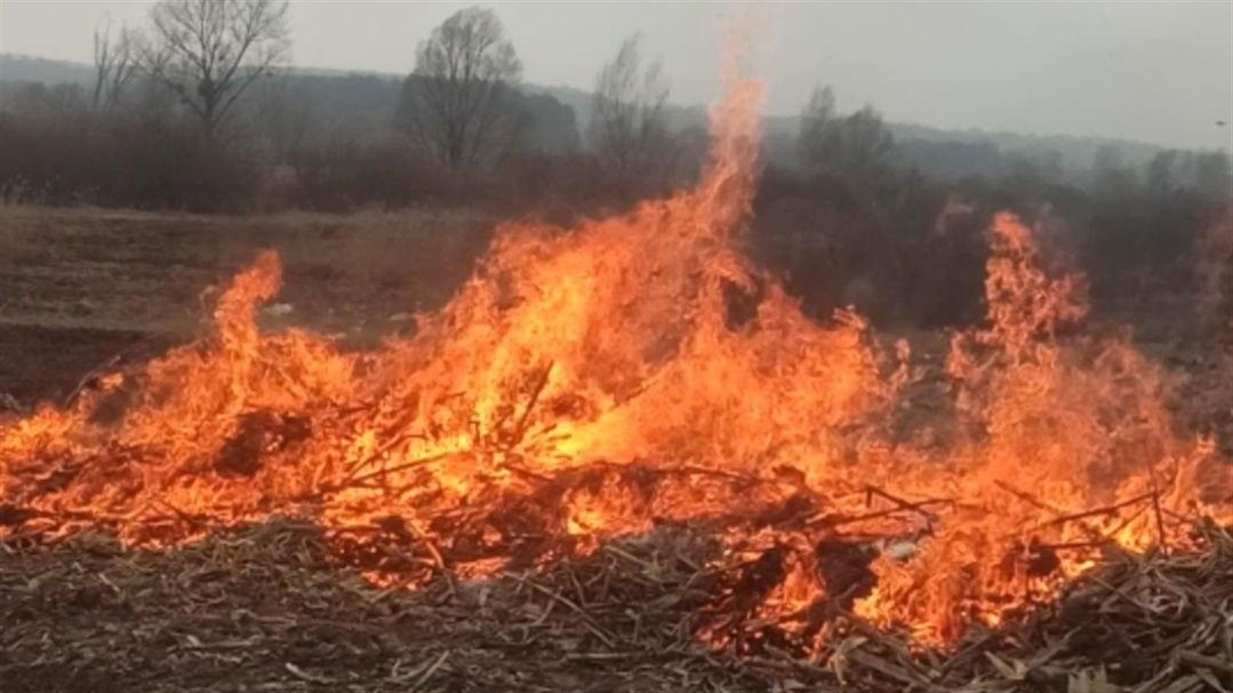 Пожежні Білопільщини закликають не палити суху траву