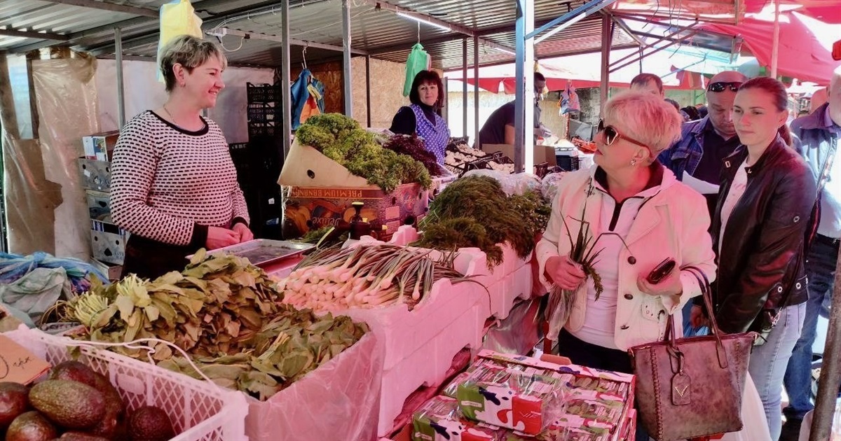 Скільки коштують продукти на ринку "Урожай" у Звягелі: актуальні ціни на овочі, м’ясо, рибу та інше