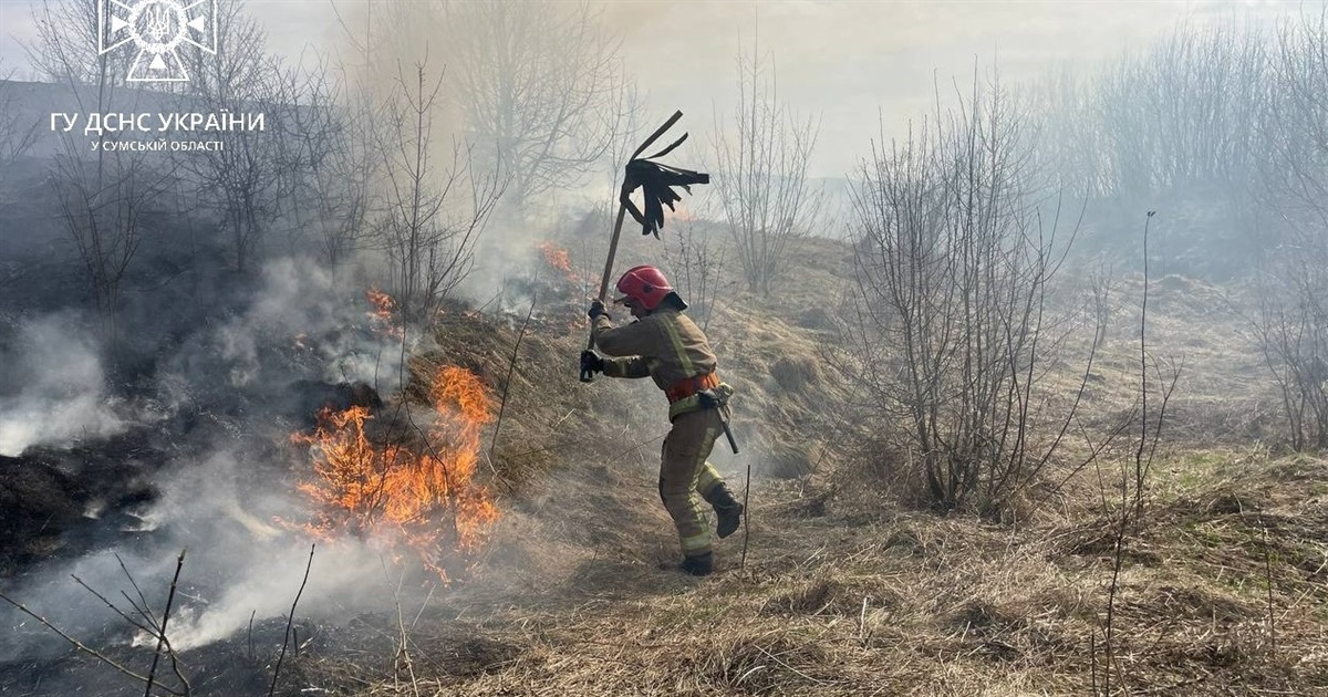 Одинадцять пожеж за добу, в тому числі й у Біланах: наслідки спалювання сухої трави