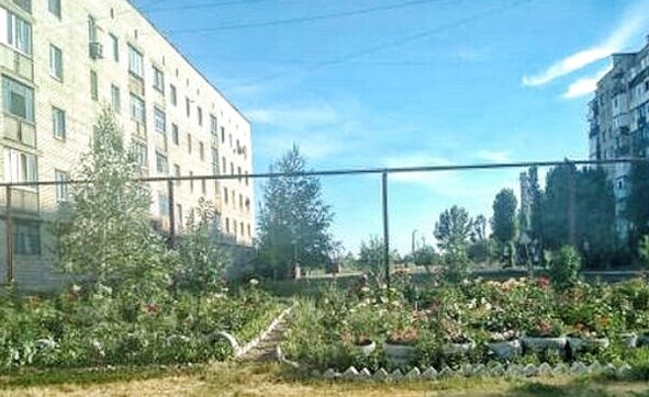 Створюють красу невтомні руки Лариси Колесник 