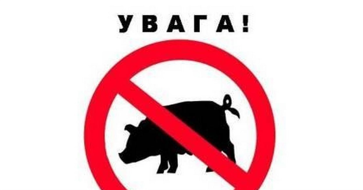 В Ізмаїльському районі знайшли понад 90 туш свиней, заражених африканською чумою