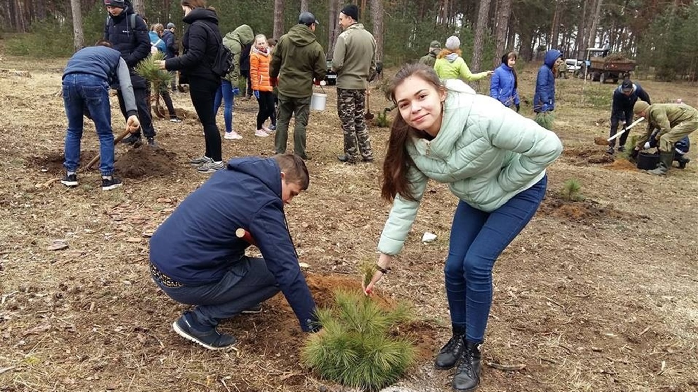 Лісівники разом з дітьми саджали сосни у Городницькому парку