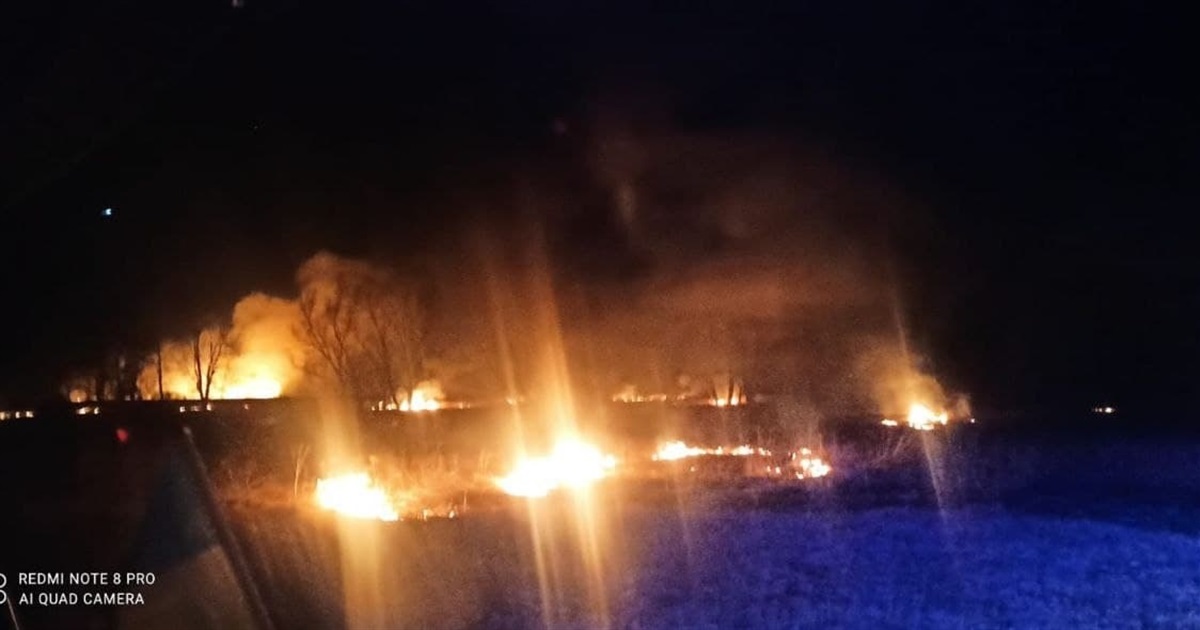 На Переяславщині знову горить суха трава