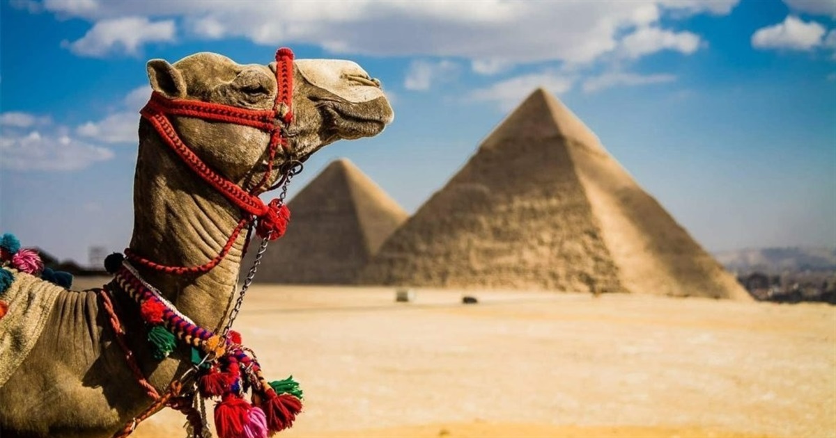 Як заощадити 400 доларів на відпочинку в Єгипті? Треба знати, коли туди краще їхати