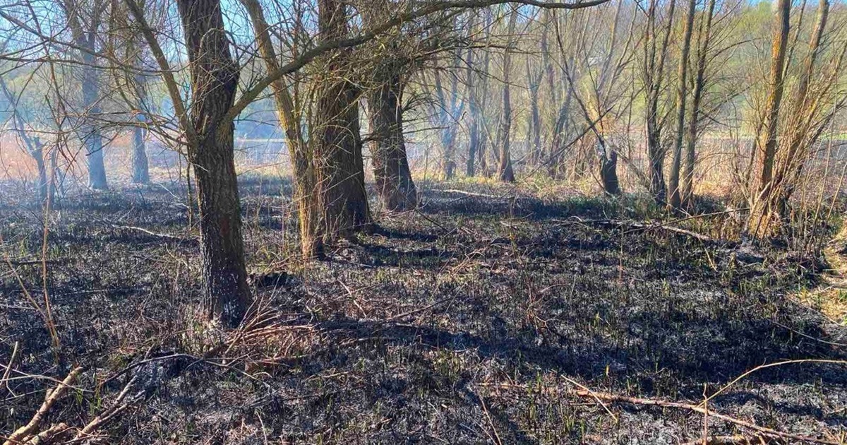Протягом Великодніх свят городоцькі рятувальники ліквідували дві пожежі