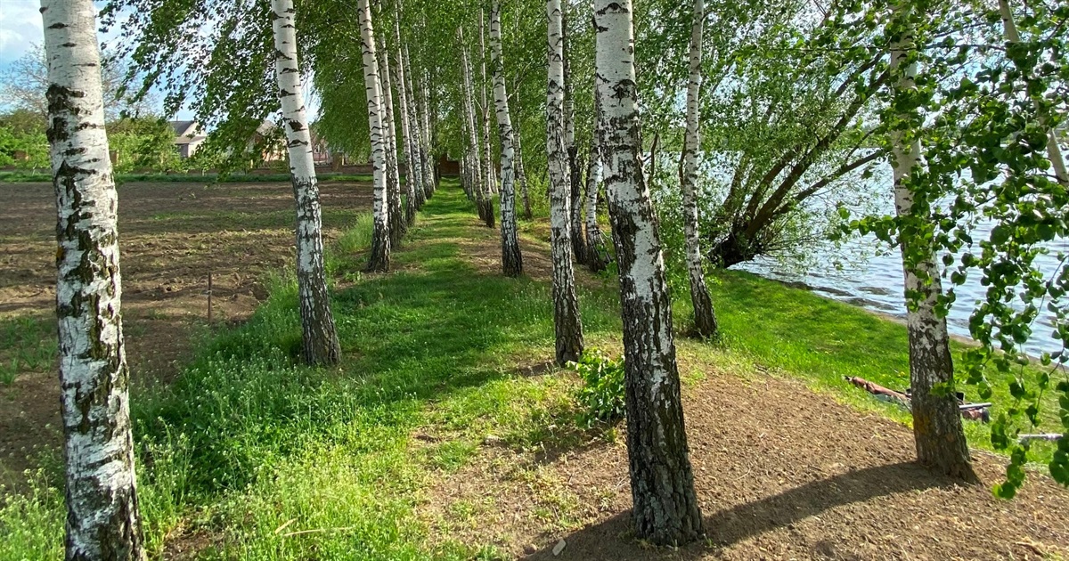 Неочевидні, але красиві: 7 локацій для гарних фото в Барі