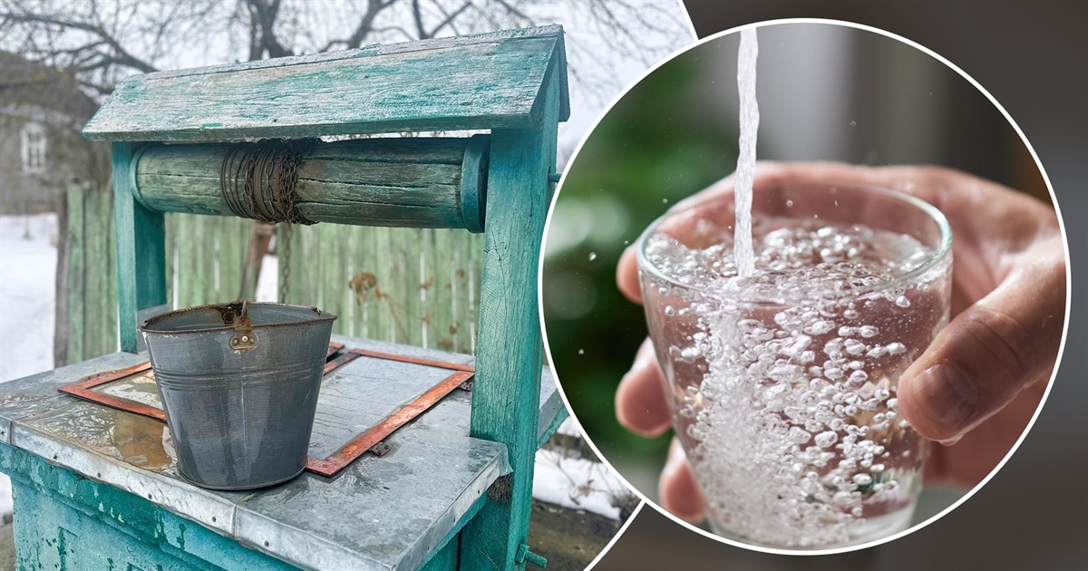 Нітрати і загальні коліформні бактерії: результати перевірки води в 11 громадських криницях Звягеля