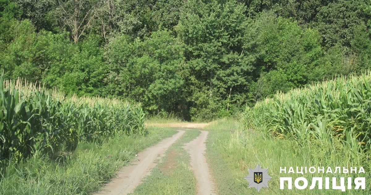 Вивіз у багажнику до лісу: на Житомирщині затримали підозрюваного у викраденні людини