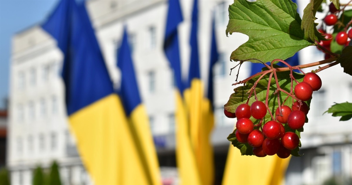 Які питання розглядатимуть звягельські депутати міськради на сесії 23 лютого: перелік