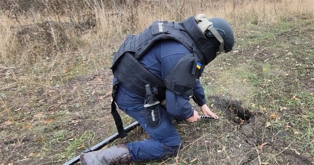 Де розміновували території на Житомирщині у 2024 році — в переліку село Майстрова Воля
