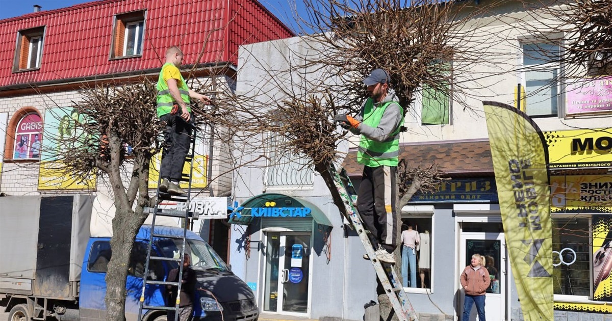 У Жмеринці стартувала формувальна обрізка дерев та очистка від чагарників