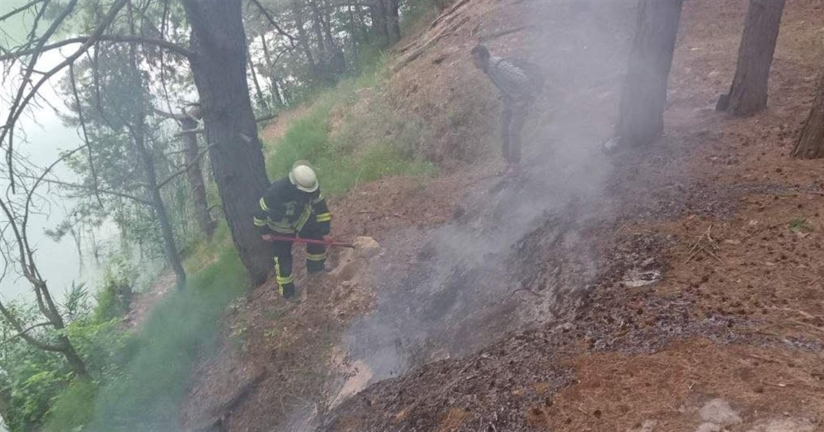 У лісі на Переяславщині сталася пожежа: ФОТО
