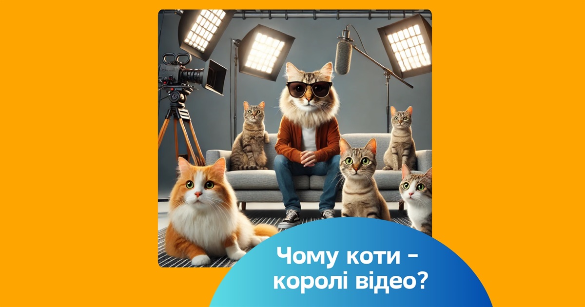 Смішні відео домашніх котів: чому вони підкорили інтернет і як знайти найкращі