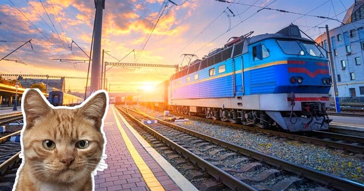 Чому поїзди оминають Звягель: Укрзалізниця пояснила, чому змінилися їх маршрути і коли це виправлять