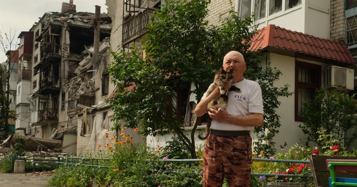 Ми єдині лишилися в будинку в Святогірську, куди росія вдарила ракетою. Тут рятую котів, а вони мене