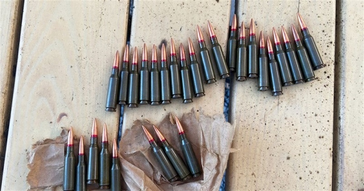 Звягелянин вулицями носив при собі кілька десятків патронів, а інший — зберігав набої вдома