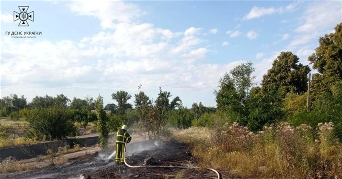 На Черкащині ліквідували 5 пожеж на відкритих територіях