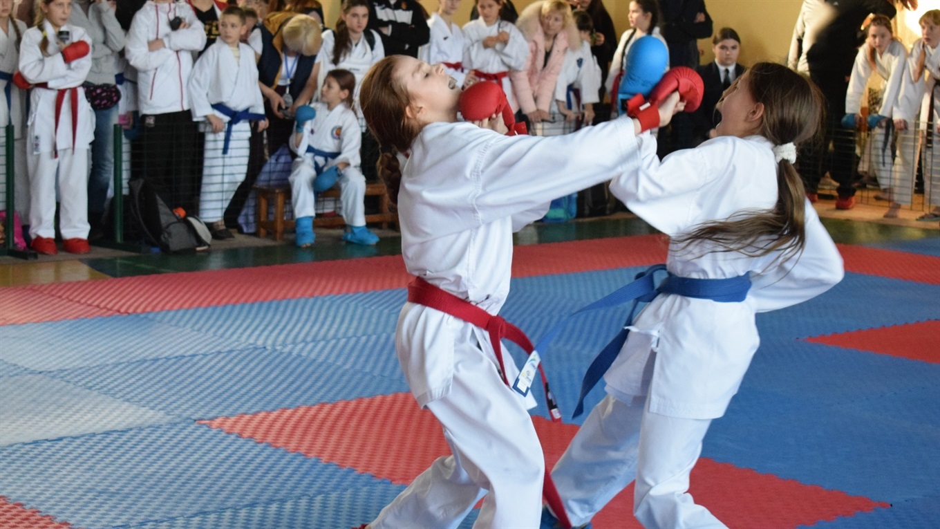 394 учасника із 15 клубів та 120 медалей: міжнародний турнір Zvyagel open 