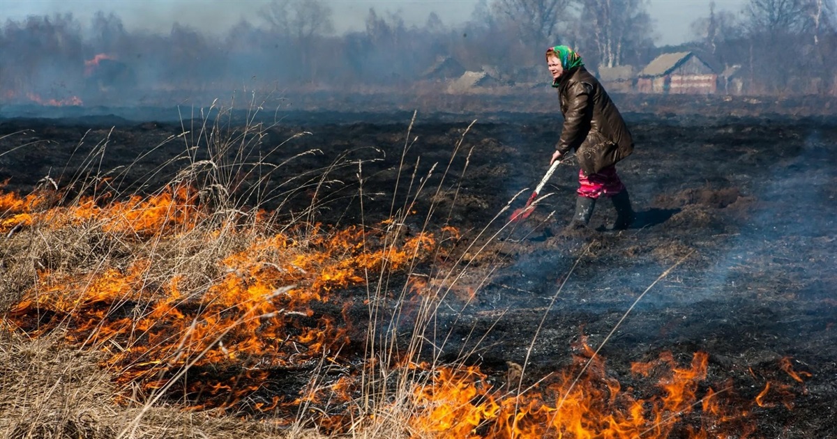 Жмеринські рятувальники за минулий тиждень погасили 70 пожеж, які виникли через спалювання трави