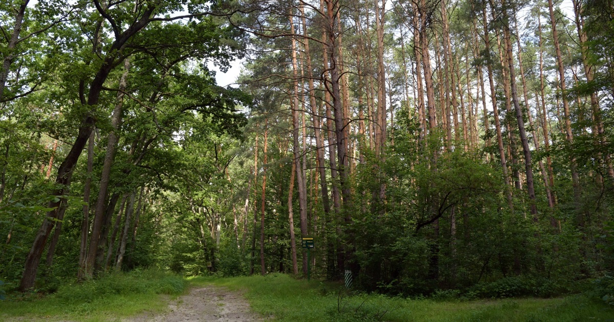 Державі повернули 25 га лісогосподарських земель на Звягельщині