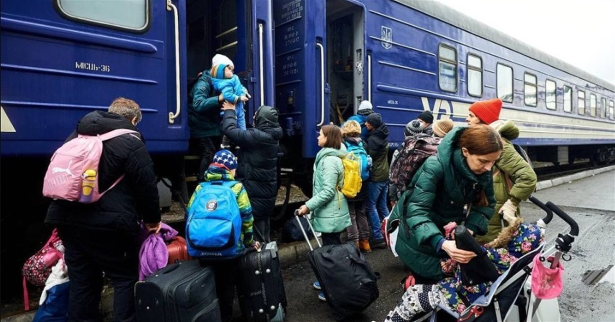 Виплати для ВПО у грудні 2025: суми, терміни та нові програми підтримки