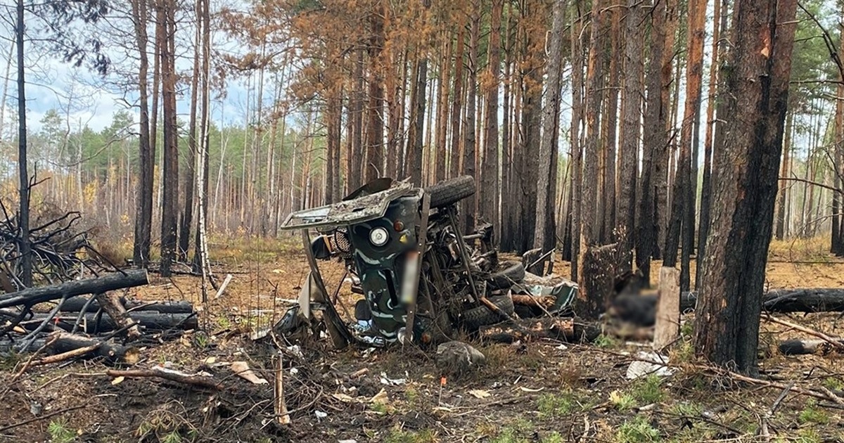 Пʼятеро людей загинуло, ще троє – травмовані: в лісі на Житомирщині дві автівки підірвалися на мінах