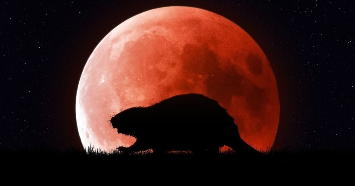 "Бобровий супермісяць": завтра, 5 листопада, українці можуть побачити найяскравішу повню