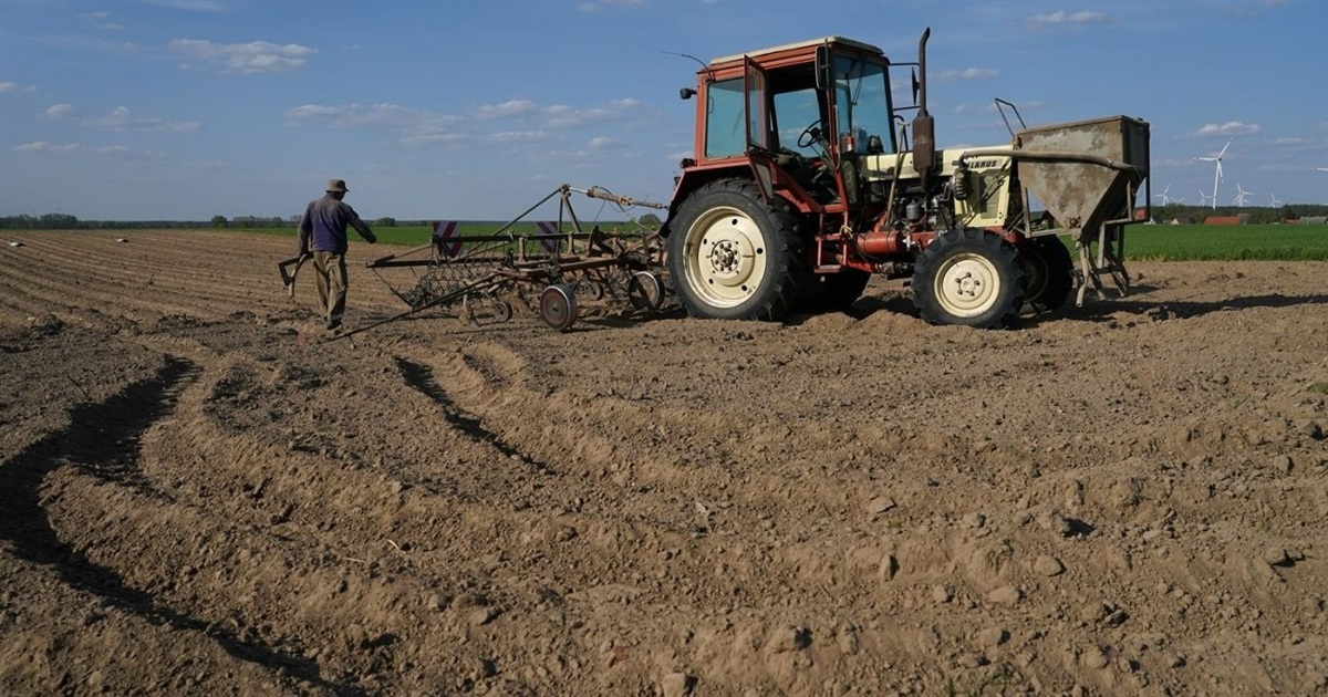 В Україні планують розмінувати сільгоспземлі, зокрема й на Сумщині