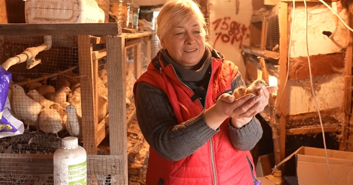 Наталія Ковальова з Біловодська відкрила мініптахоферму на Кіровоградщині. Вирощує курей і перепелів