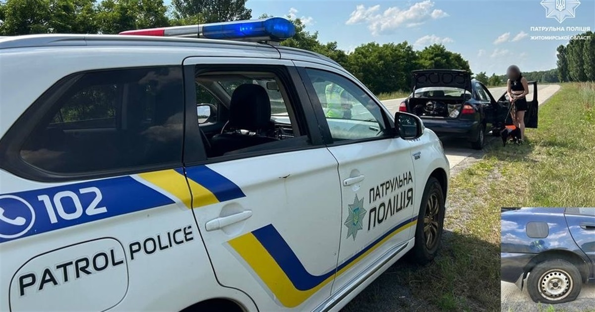 На Житомирщині на трасі патрульні врятували від спеки сім'ю з собакою