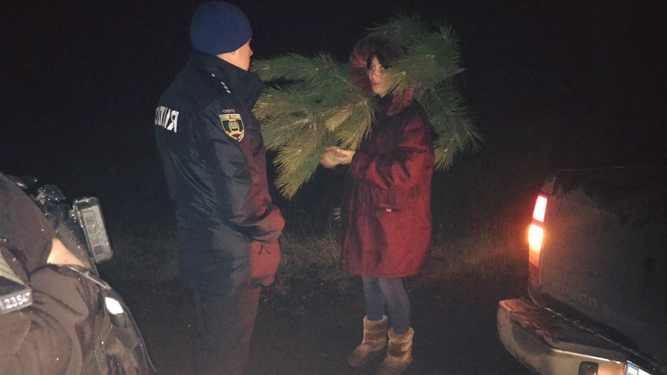 У Волноваському районі затримали жінку, яка вирубала ялинку