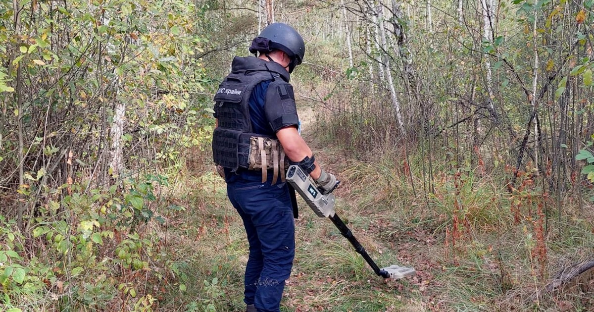 Грибники в лісі на Звягельщині знайшли міну