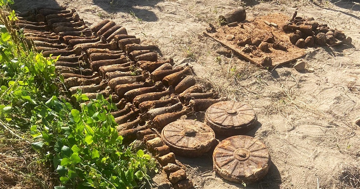 Жінка на Житомирщині копала картоплю, а викопала 82 мінометні міни, 3 протитанкові міни та 8 гранат