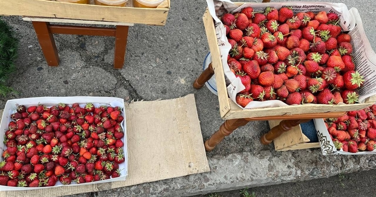 Переяславський суд оштрафував жінку на 102 гривні за продаж полуниці у невстановленому місці