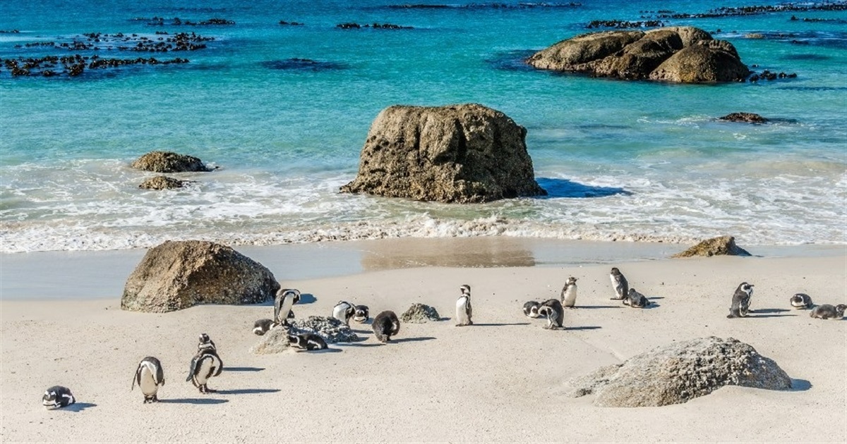 Куди їхати на відпочинок у 2026, щоб не потрапити у війну. Поради експертів