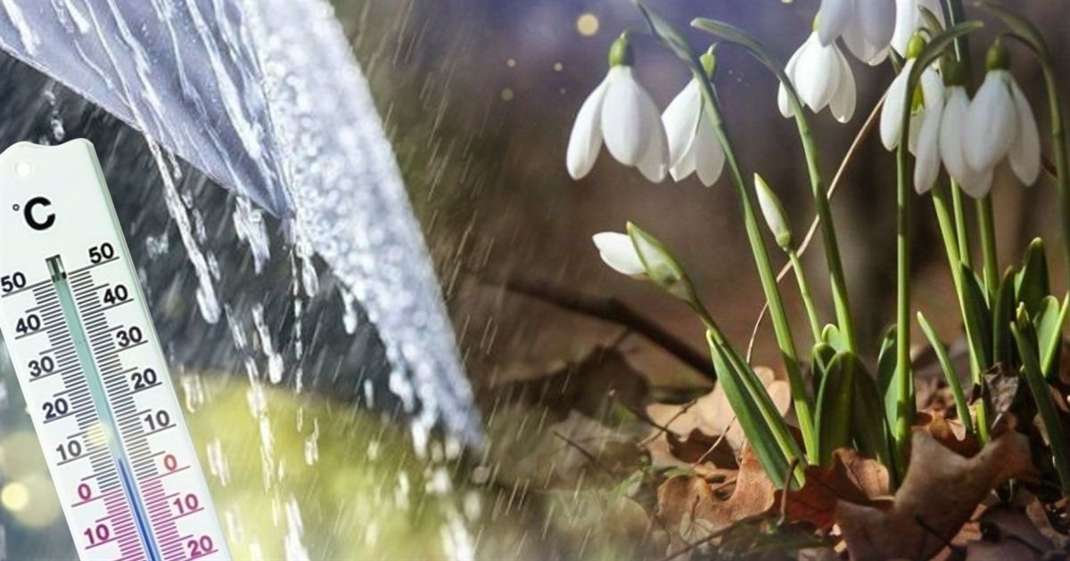 Ожеледиця та невеликі дощі з мокрим снігом: яку погоду прогнозують синоптики на початку тижня