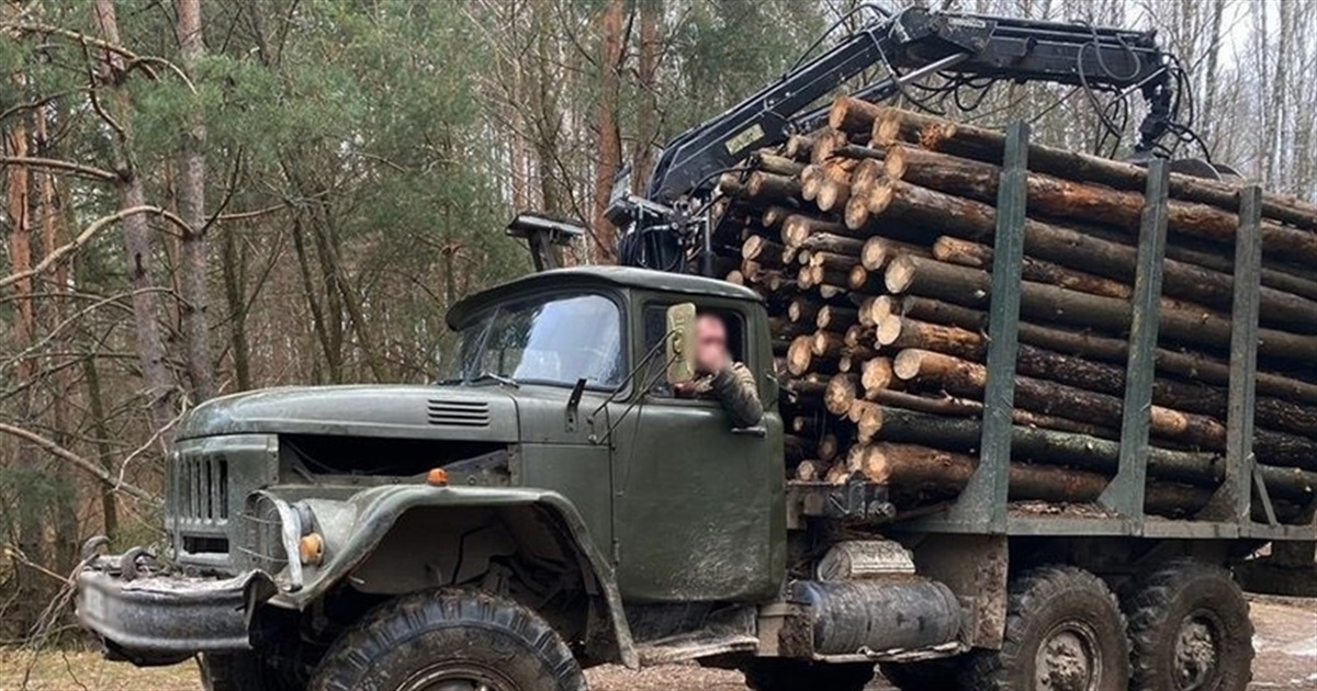 Майстра лісу зі спільниками підозрюються у незаконній порубці дерев на суму понад 2 мільйони