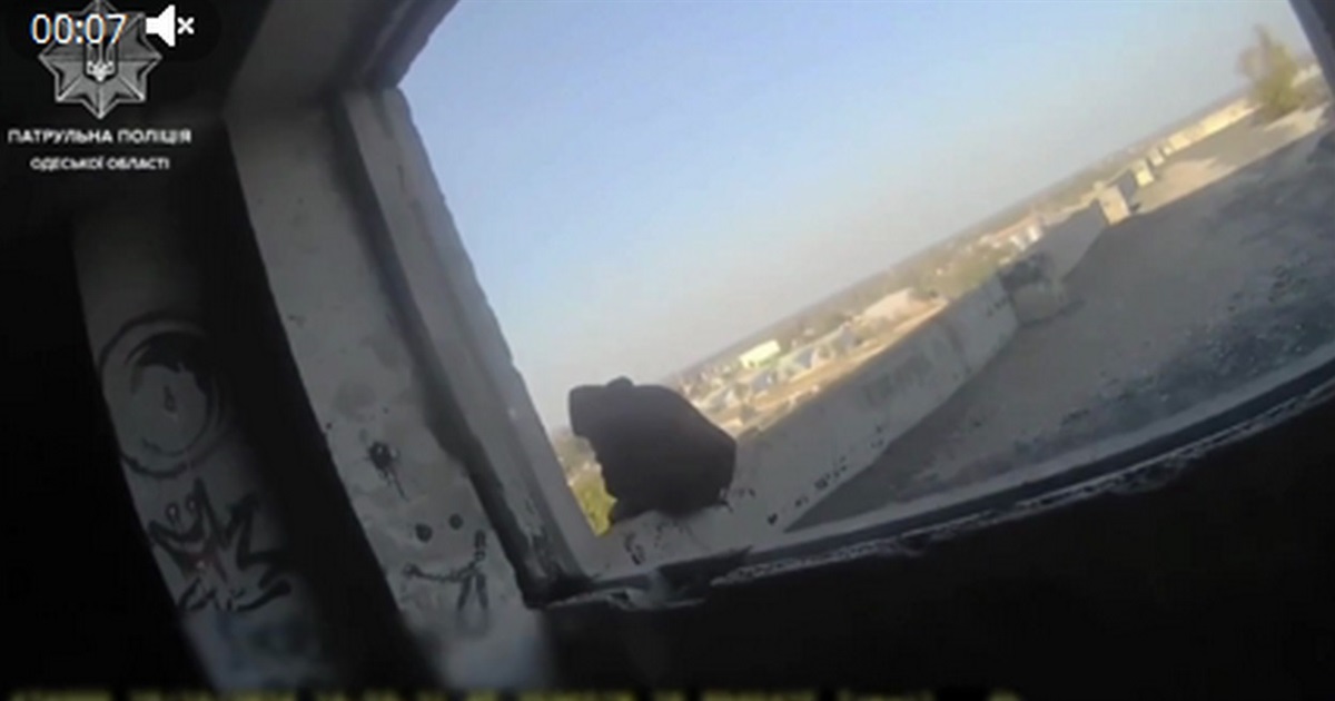 В Ізмаїлі поліцейські врятували хлопця від самогубства