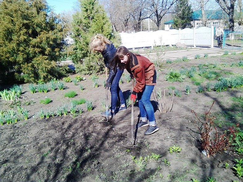 Зеленою і квітучою буде територія Миколаївської школи
