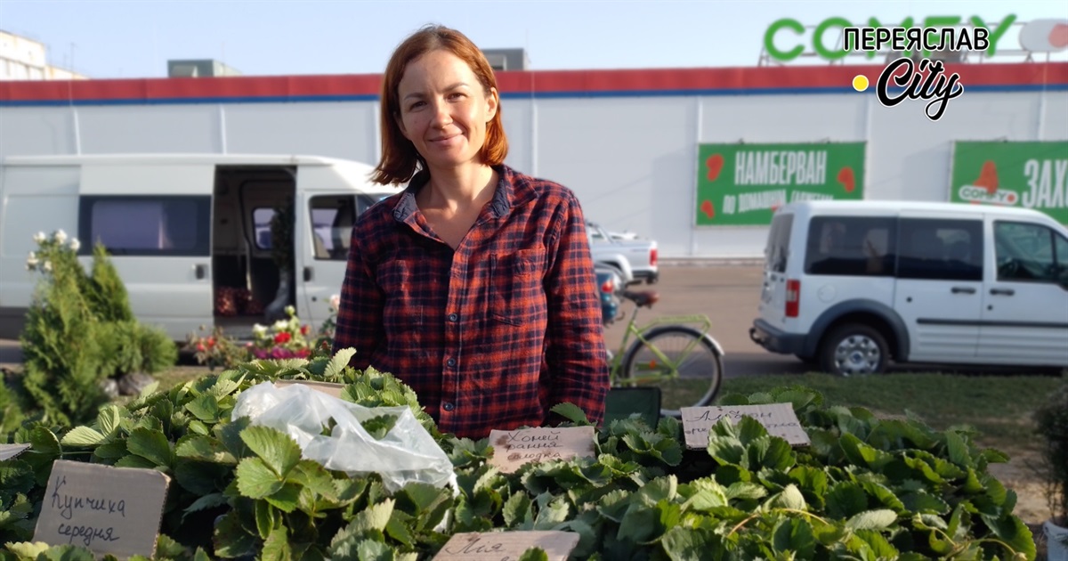 Світлана Іщенко закінчила аспірантуру, але вирішила вирощувати на продаж саджанці полуниці та троянд