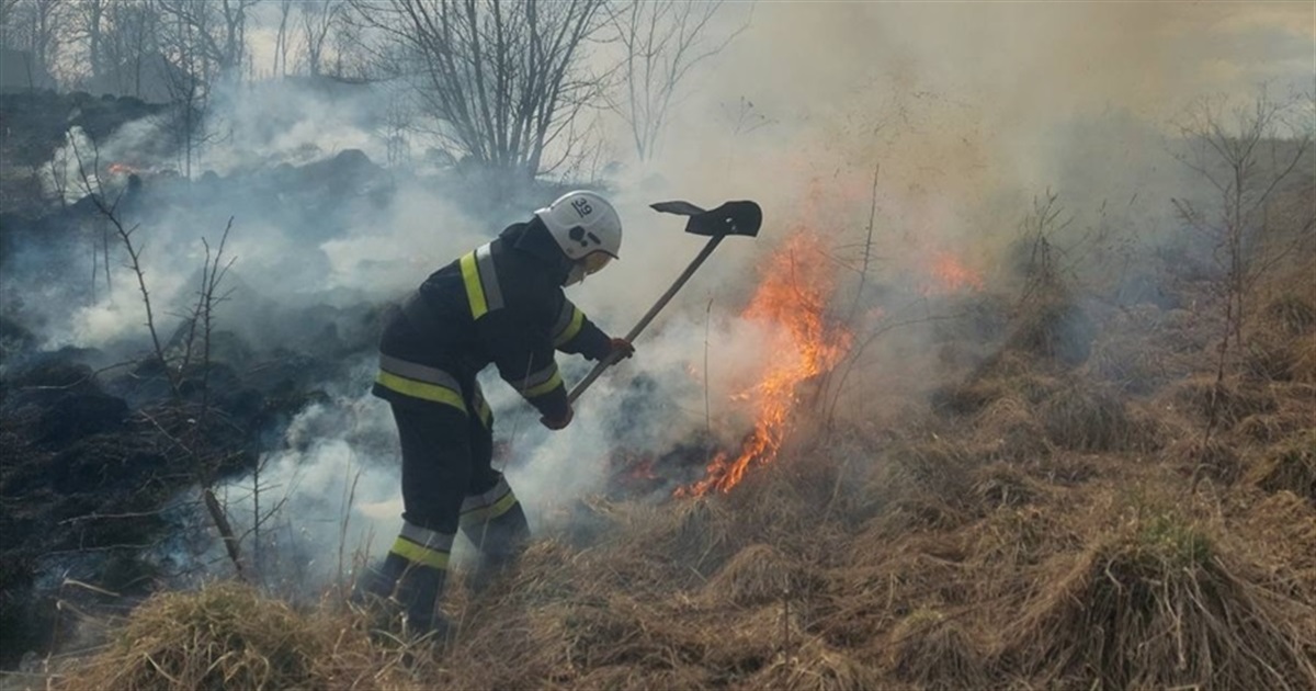 На Городоччині знову горів сухостій: що відомо про пожежу
