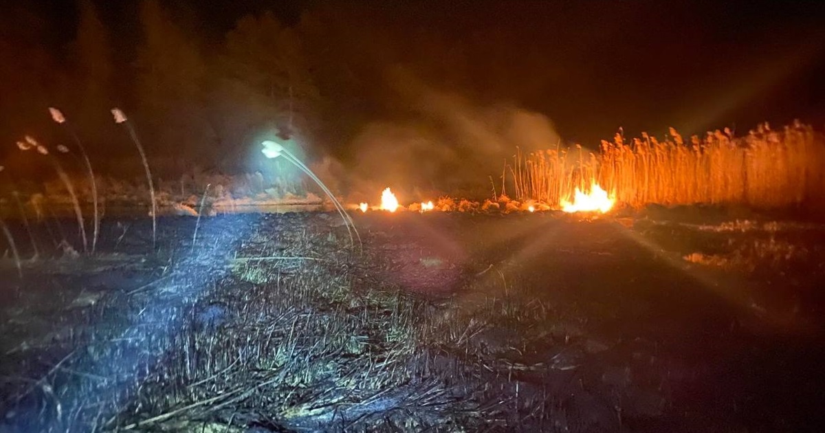 На Городоччині за два дні вигоріло 600 кв. м сухостою: пожежі сталися за межами Купина та Папірні