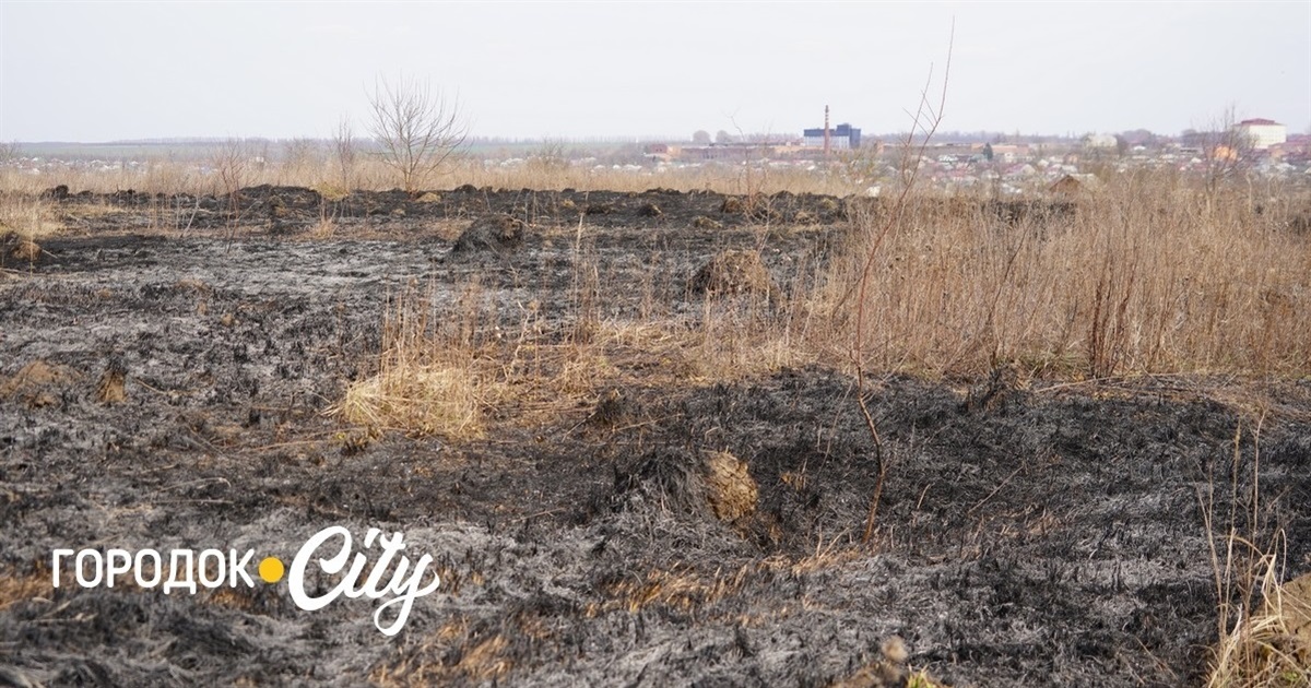 Чотири пожежі за тиждень. Городоцькі рятувальники закликають не спалювати суху рослинність