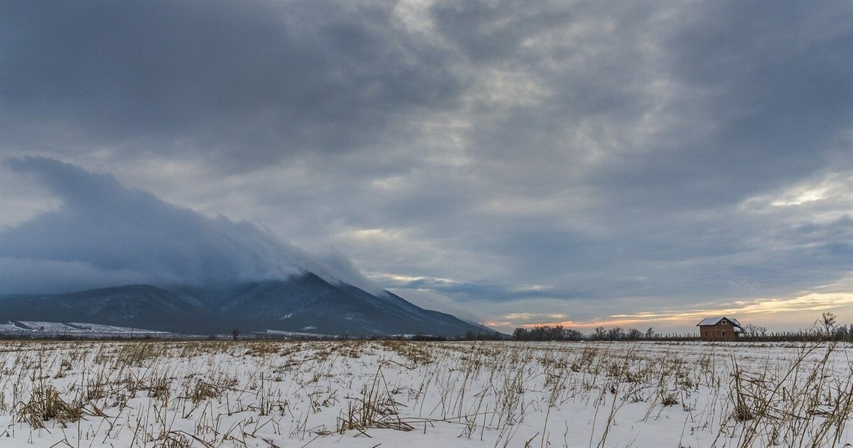 Увесь наступний тиждень обіцяє бути в Україні теплим та вологим: що прогнозують синоптики