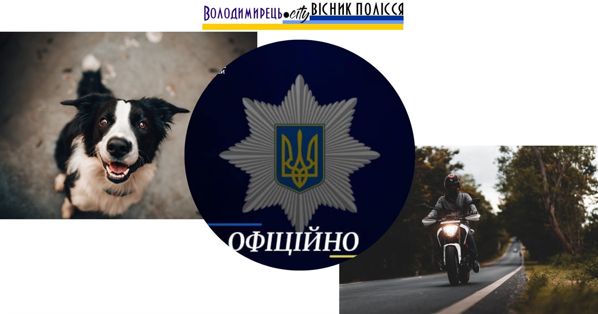 В Новорічиці на Зарічненщині мотоцикліст катував собаку