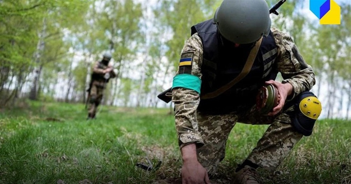 13 серпня: на Чернігівщині жінка пішла до лісу збирати гриби і підірвалася на розтяжці